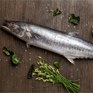 ماهی شیر | بسته پنج کیلویی