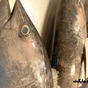 ماهی هوور | بسته پنج کیلویی
