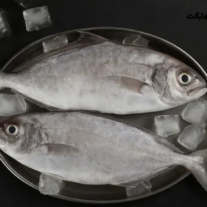 ماهی حمام | بسته پنج کیلویی